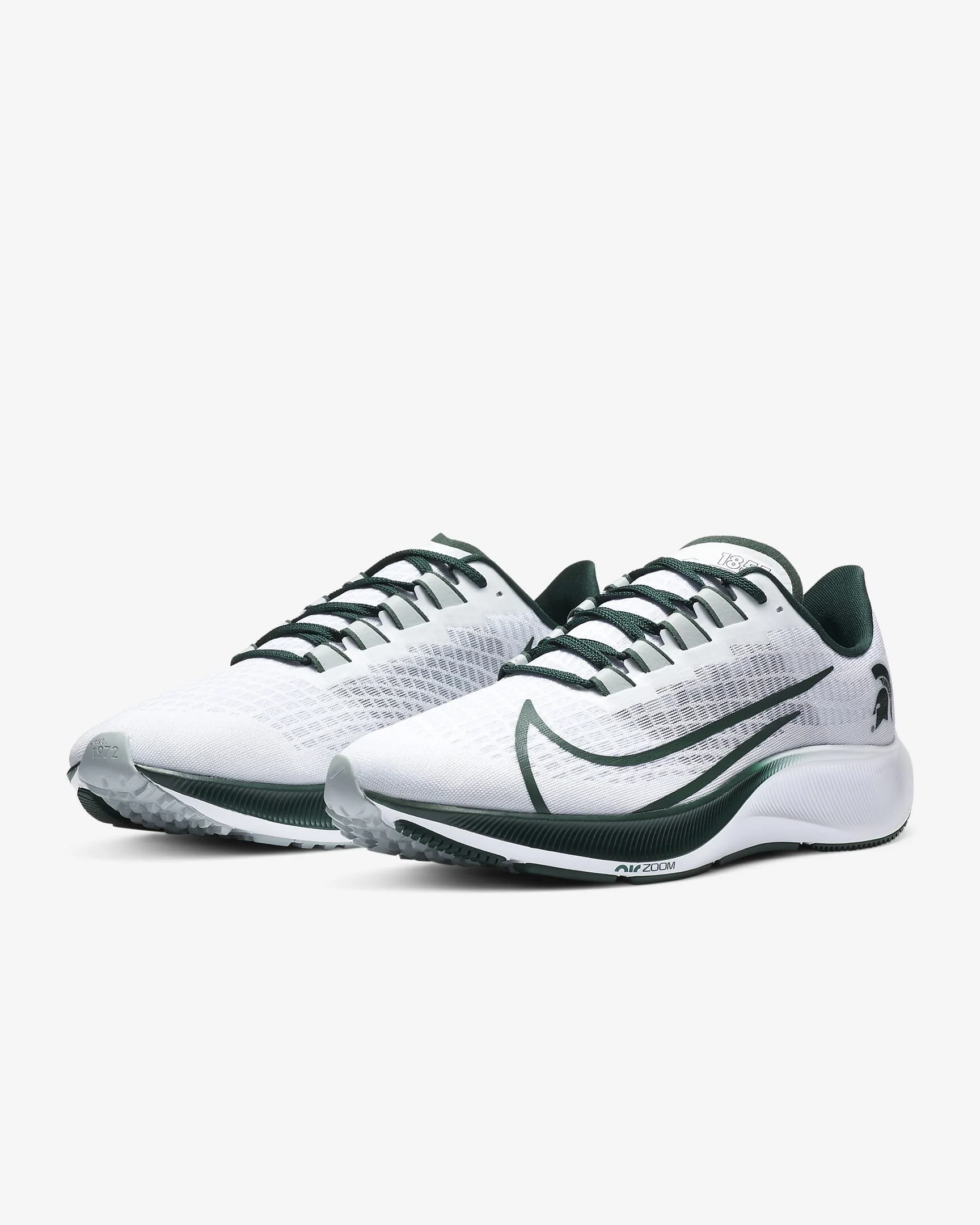 Nike 2025 pegasus 8s